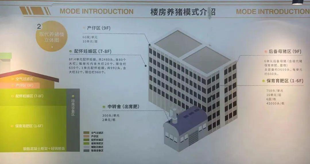 广州最大楼房猪场投产!越秀农牧花都项目年出栏36万头,9层高人均可养1277头猪