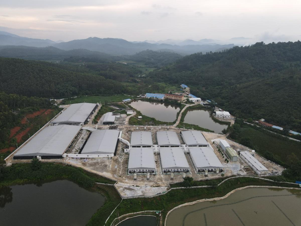 重磅消息！中芯种业与金宇生物战略合作，携手打造中国猪业服务生态圈