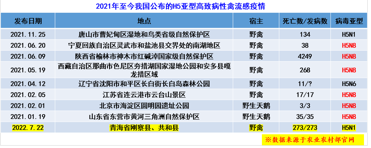 黃淑堅(jiān)教授：國(guó)內(nèi)H5亞型禽流感呈現(xiàn)四大流行特點(diǎn)，H5N1有可能“卷土重來(lái)”|2023國(guó)雞產(chǎn)業(yè)高峰論壇