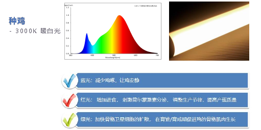 鸿远微思：种鸡高效生产光控技术要求解析【2023国鸡产业高峰论坛】