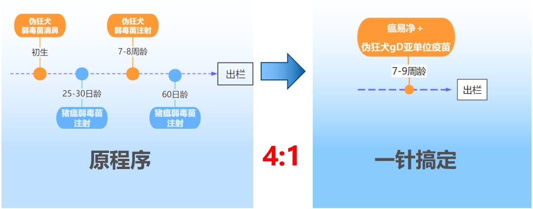 助力猪病净化！青岛易邦猪瘟基因工程E2疫苗亮相李曼会引发关注