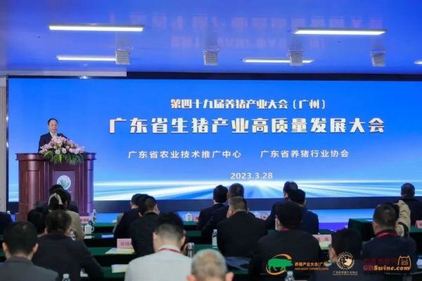 广东生猪产业高质量发展：规模化率75.8%，国家级标准化示范场33家，生猪调控基地482家