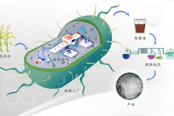 细胞工厂让淀粉变兽药？康牧动保以合成生物技术掀起兽药绿色智造工业革命
