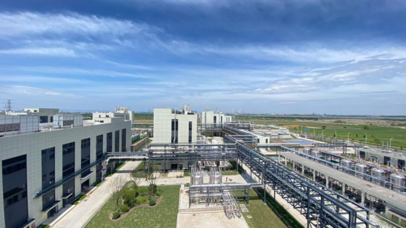 细胞工厂让淀粉变兽药?康牧动保以合成生物技术掀起兽药绿色智造工业革命