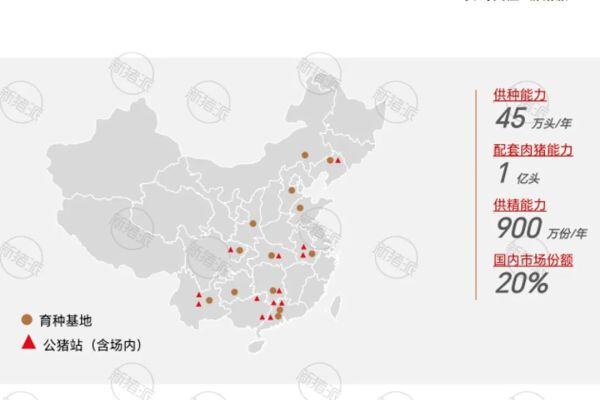 年可供种45万头！中芯种业携手新希望、大北农、扬翔、傲农等11家头部猪企共谋种业振兴