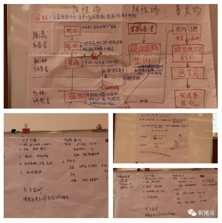 42名集团猪场总监、场长集体“充电”后,纷纷说要找老板“算账”!