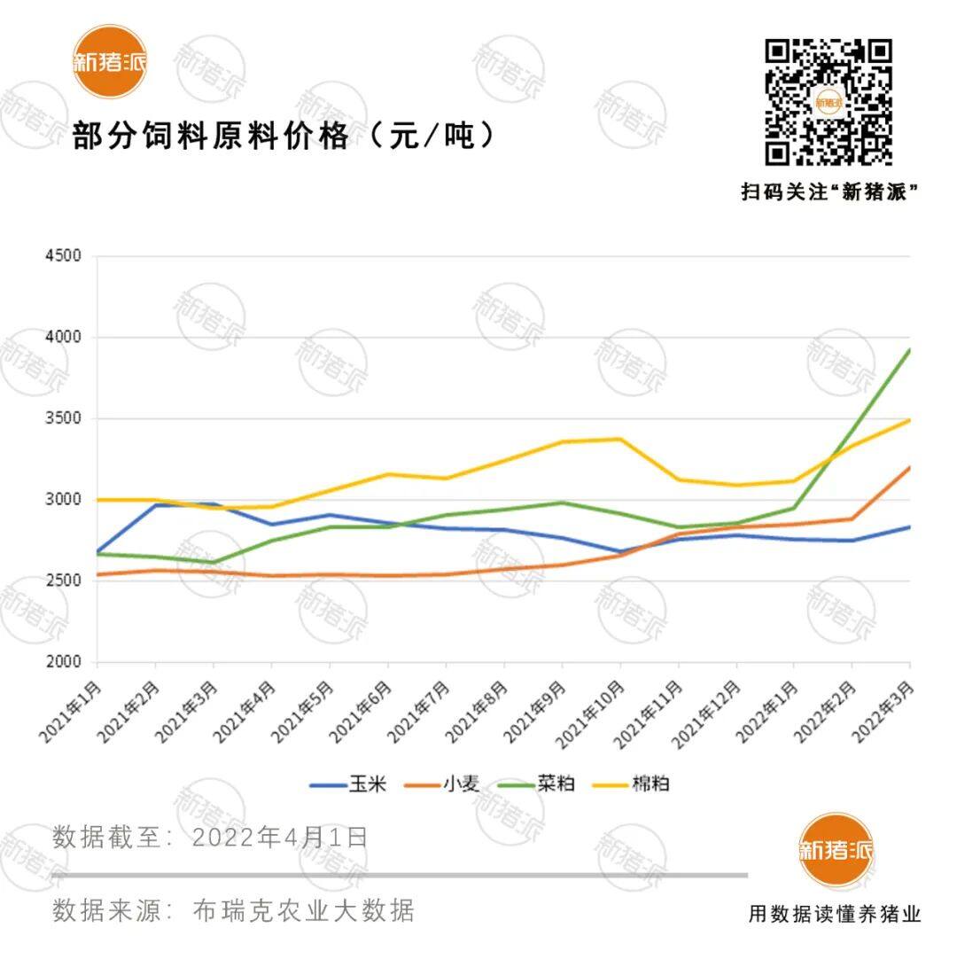 刚刚！50万吨国储大豆拍卖，豆粕应声下跌700元/吨，饲料价格却坚挺