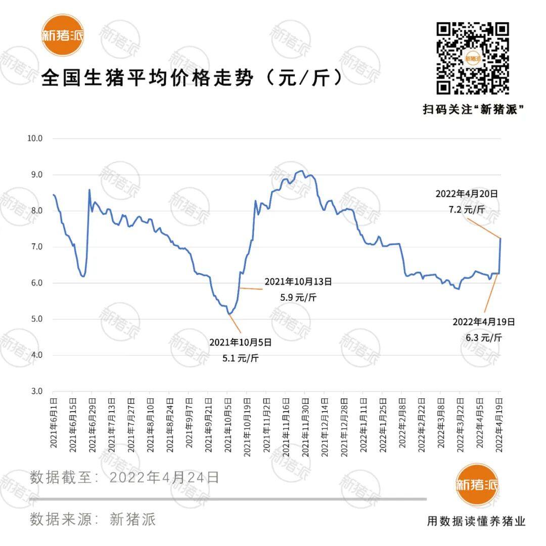 三季度涨价动力足！淡季猪价一天逆势大涨1元/斤！5-6月猪价怎么样？