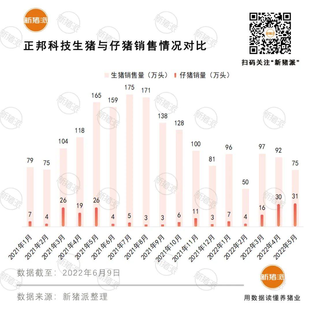 8家減量，8家虧！13家上市豬企5月賣豬1070萬頭，豬價11連漲，要“待價而沽”？