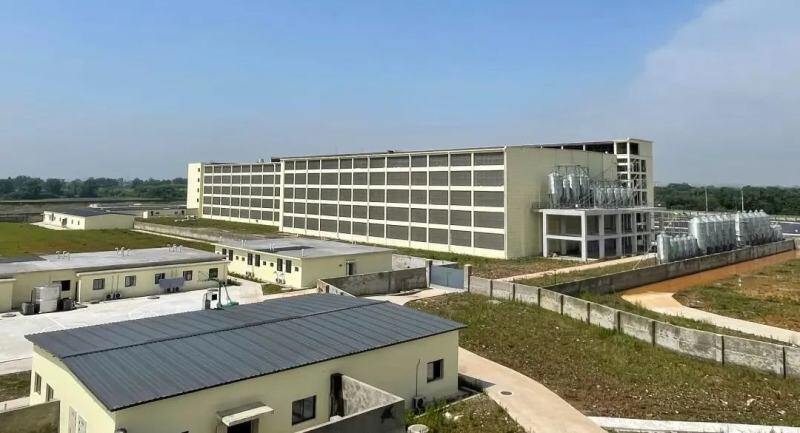 上市猪企第三!新希望2022年生猪出栏1461万头,今年冲击1850万