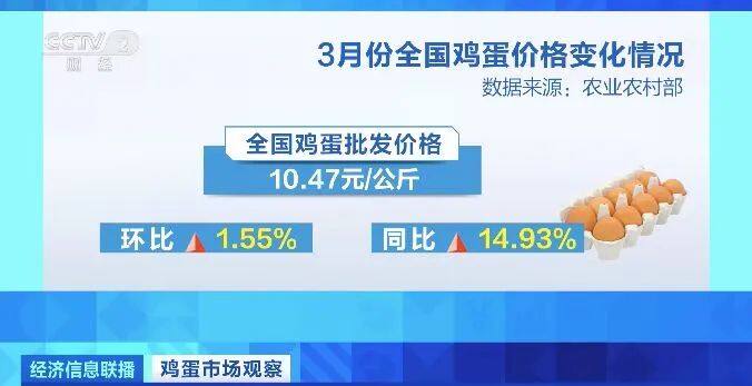 批发价超10元/公斤！4月蛋鸡存栏或下降？接下来的蛋价不“蛋定”？