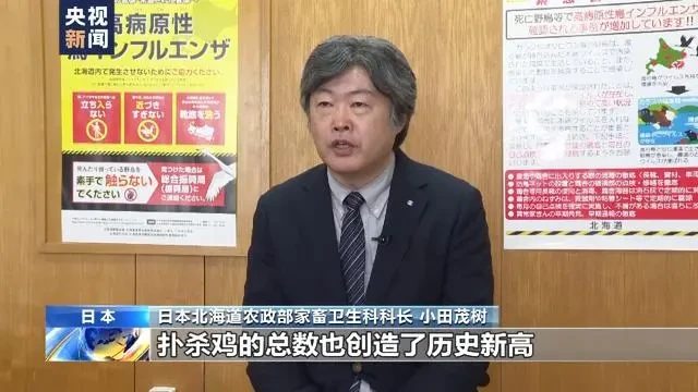 扑杀蛋鸡数超存栏总量9%！日本鸡蛋恢复正常供应还需一年以上