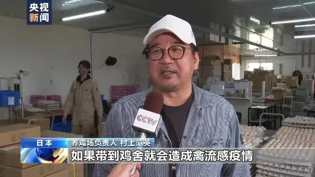 扑杀蛋鸡数超存栏总量9%!日本鸡蛋恢复正常供应还需一年以上