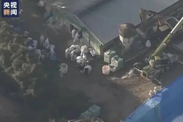 扑杀蛋鸡数超存栏总量9%！日本鸡蛋恢复正常供应还需一年以上