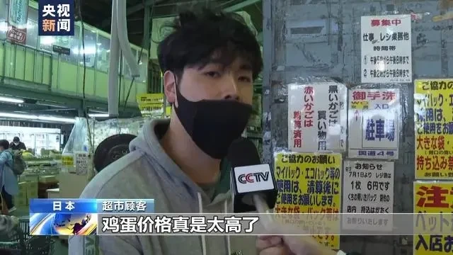 扑杀蛋鸡数超存栏总量9%!日本鸡蛋恢复正常供应还需一年以上