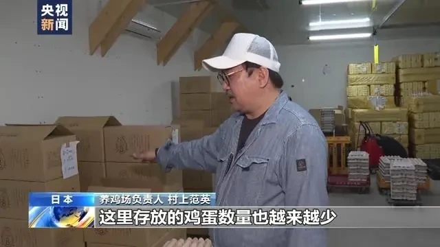 扑杀蛋鸡数超存栏总量9%!日本鸡蛋恢复正常供应还需一年以上