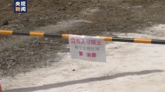 扑杀蛋鸡数超存栏总量9%!日本鸡蛋恢复正常供应还需一年以上