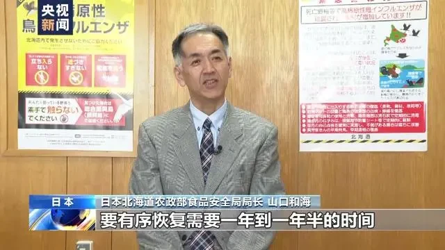 扑杀蛋鸡数超存栏总量9%！日本鸡蛋恢复正常供应还需一年以上