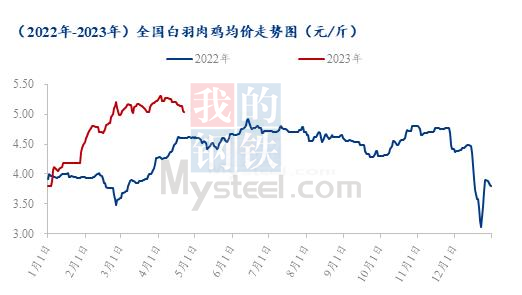 最低出现2元/羽！白羽肉鸡苗价高位回落，价差达3元/羽