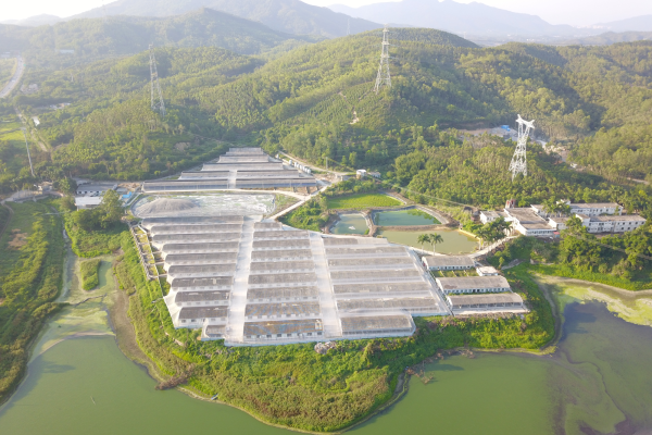 广东省生猪产业体系专家助力惠东高质量发展，总投资2.46亿生猪产业园实现“生猪-肉制品”全链条供港