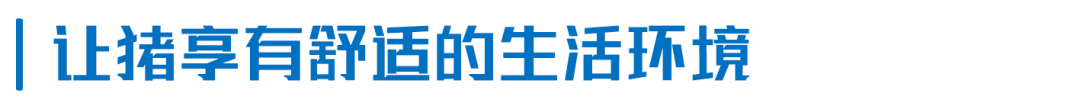 楼房养猪第6年，扬翔智能楼房猪场有哪些变化？