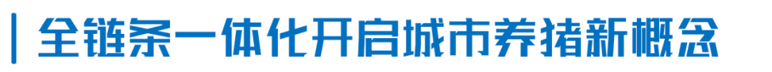 楼房养猪第6年，扬翔智能楼房猪场有哪些变化？