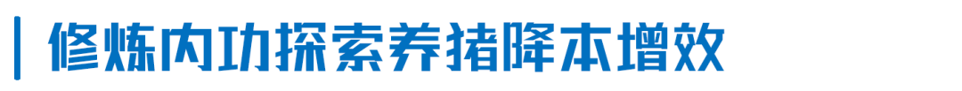 楼房养猪第6年，扬翔智能楼房猪场有哪些变化？