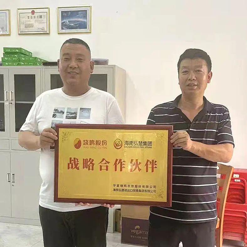 晓鸣股份与海南弘楚建立战略合作伙伴关系