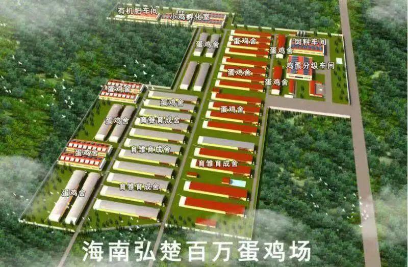 晓鸣股份与海南弘楚建立战略合作伙伴关系