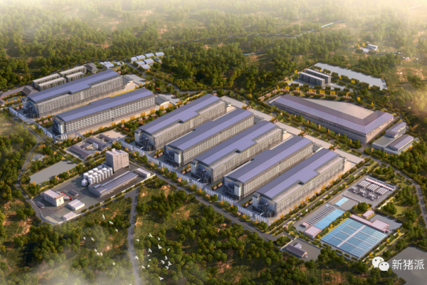去年盈利1.58亿元！巨星农牧养猪热情不减，未来5年冲击年出栏1000万头