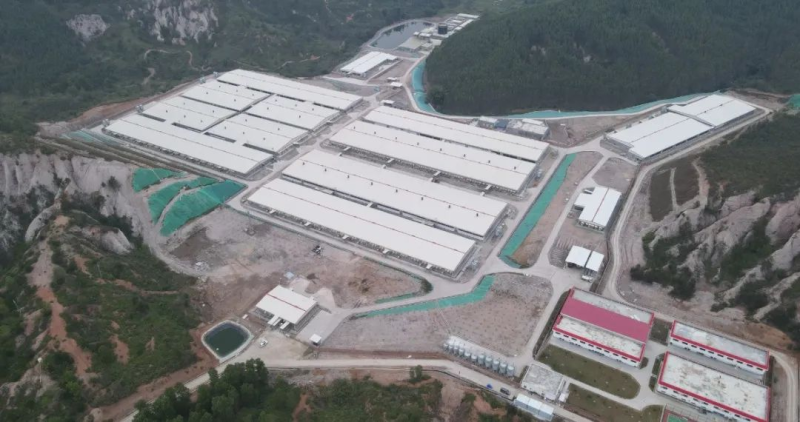 营收首破1000亿!海大去年盈利29.54亿,生猪出栏320万头养猪业务扭亏为盈