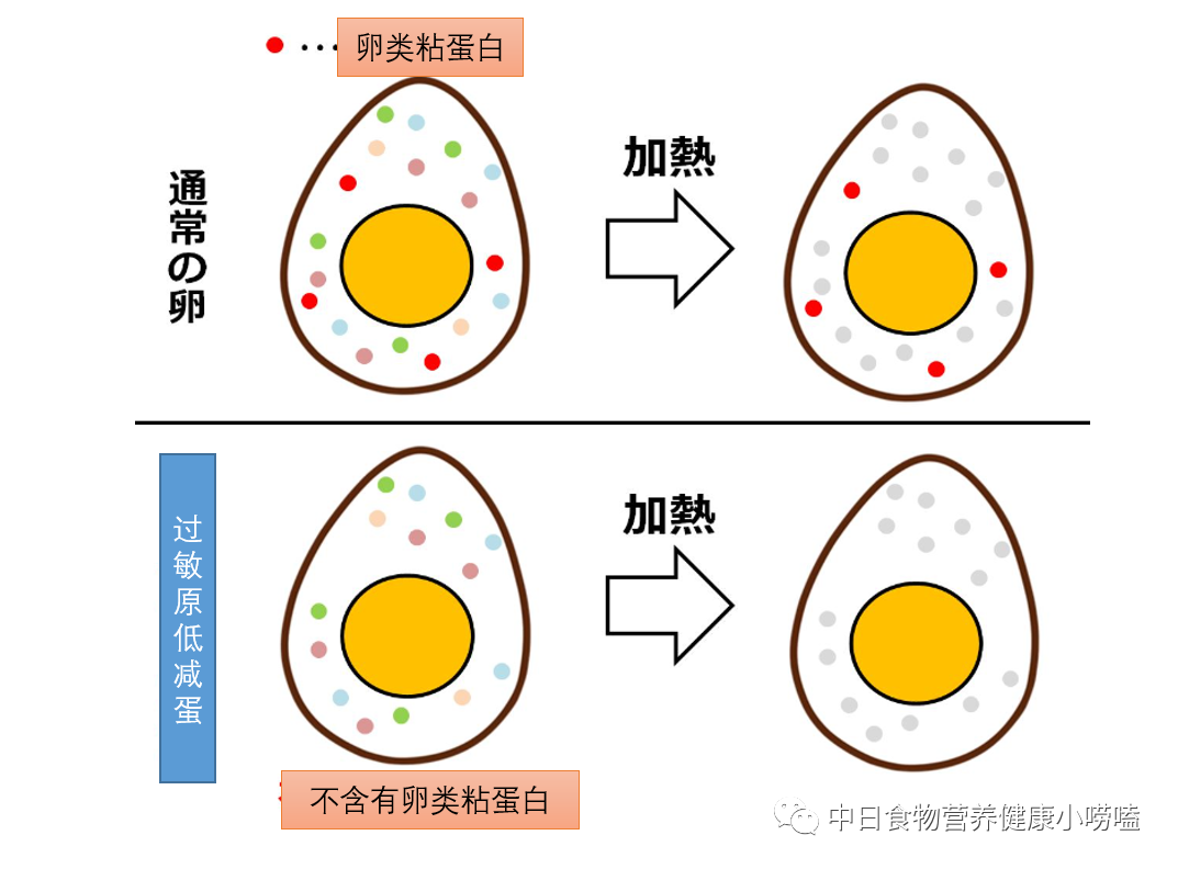 “不过敏鸡蛋”被成功研发，是通过基因组编辑生产