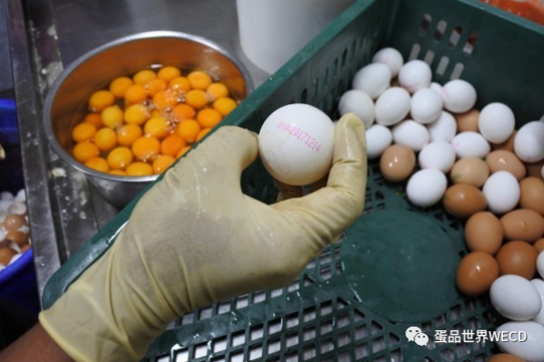 修改鸡蛋生产日期、将发霉蛋制成蛋液出售获利6400万元！企业不服上诉遭重罚