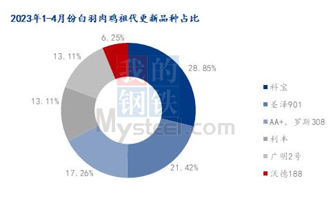 2023年国产白鸡祖代更新率占比超60%，预计全年白鸡更新量或超120万套