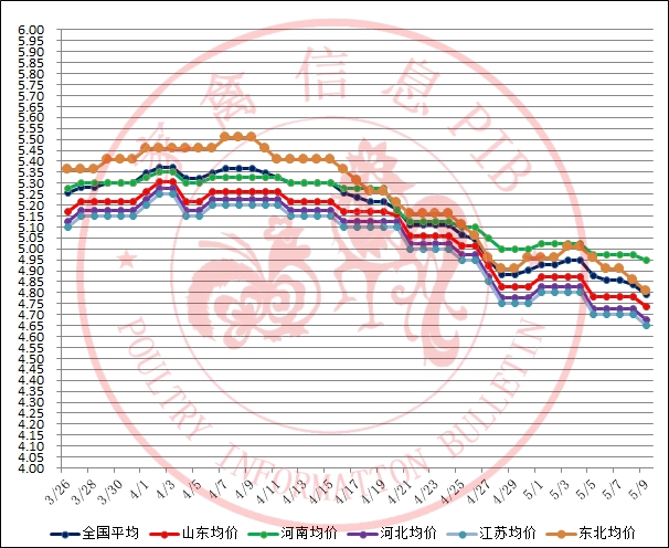 2023年5月10日行情；鸡苗步步走低，毛鸡预计今晚山东下落1毛，毛猪震荡调整。