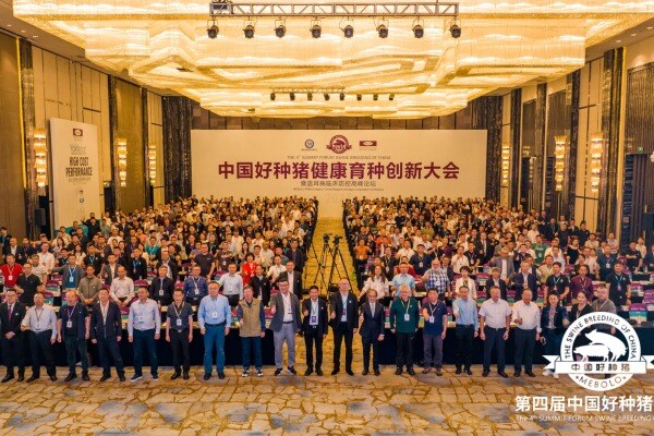 打造中国“无蓝”好种猪，660余人齐聚浙江这场生猪育种、疫病防控大会！