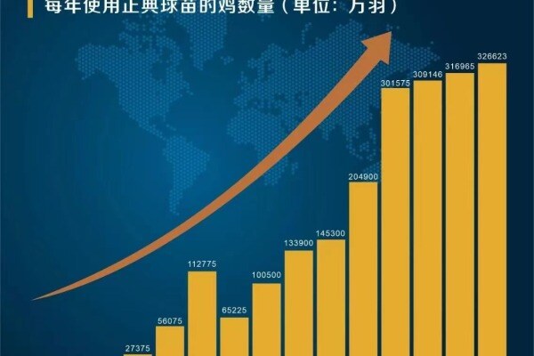 热烈祝贺！正典生物球苗三价苗和四价苗在埃及成功注册