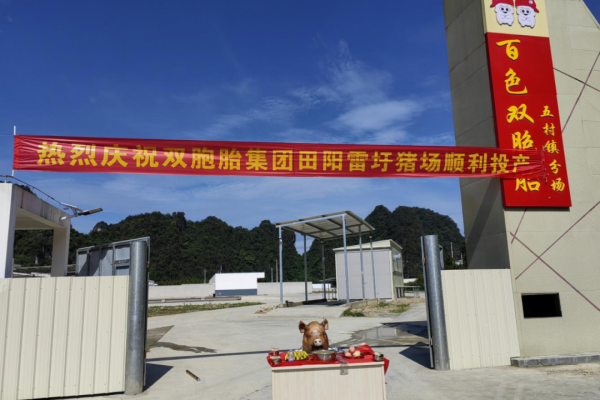 年出栏育肥猪16万头，双胞胎集团百色田阳区猪场项目投产