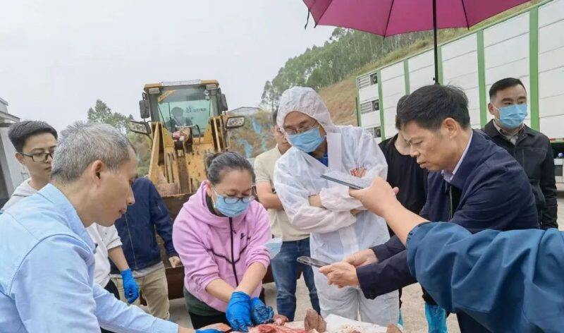 祝贺！华南农业大学兽医学院教授张桂红入选2023年广东“最美科技工作者”