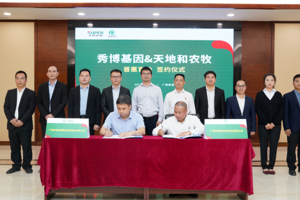 ​料肉比2.5，PSY30+！广西天地和：育种才是降本增效的突破口