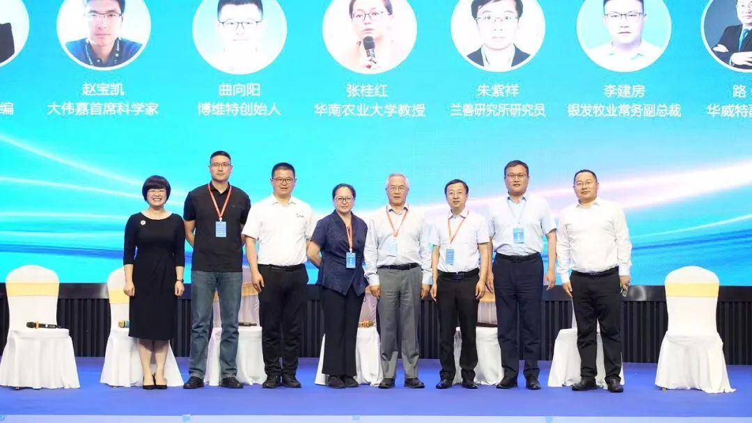 非瘟亚单位疫苗有望年内上市，蓝耳疫苗依然是防控最经济手段