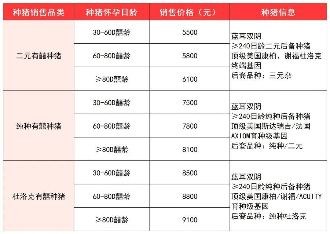 定价5500元起！加大有囍种猪全国首发，从投资引种到产仔回报最快仅46天