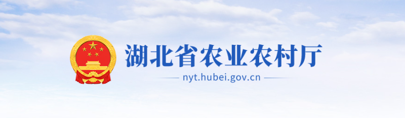 湖北最新通知！万头猪场奖励100万！