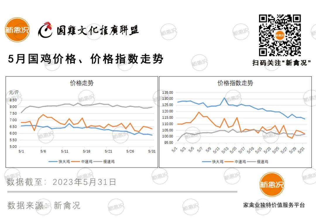 猛跌1.3元/斤！近8成养鸡户看跌6月国鸡行情