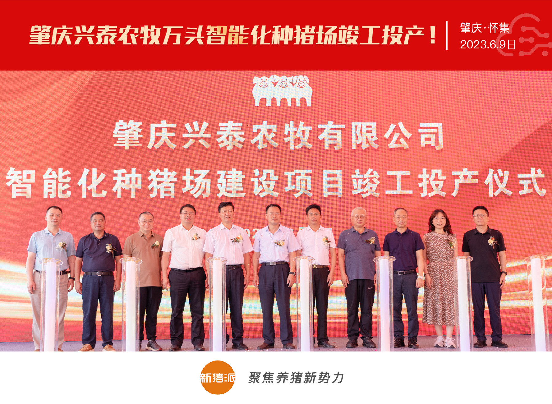 肇庆兴泰万头智能化种猪场竣工投产,首期即将引进母猪5400头