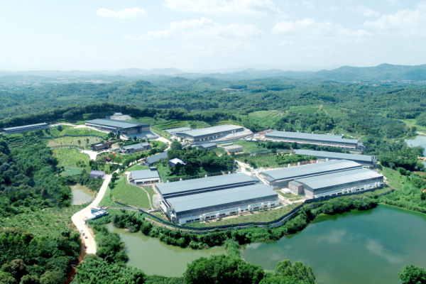 啖从化荔枝 谋猪业发展！超60家猪企参与，2023广州从化生猪产业高质量发展大会将于7月7日召开