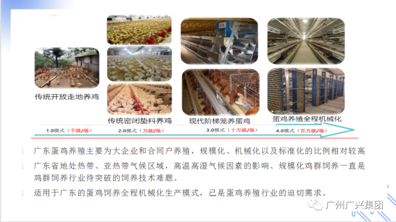 超250位行业人士齐聚一堂，以科技赋能蛋鸡养殖业高质量发展！