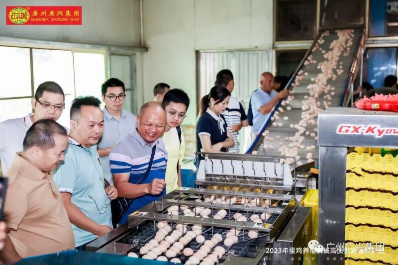 超250位行业人士齐聚一堂,以科技赋能蛋鸡养殖业高质量发展!