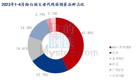 三大国产白羽种鸡累计推广近560万套！要稳住国产白鸡市场份额还得看…【建明中国特约 | 数说禽事】