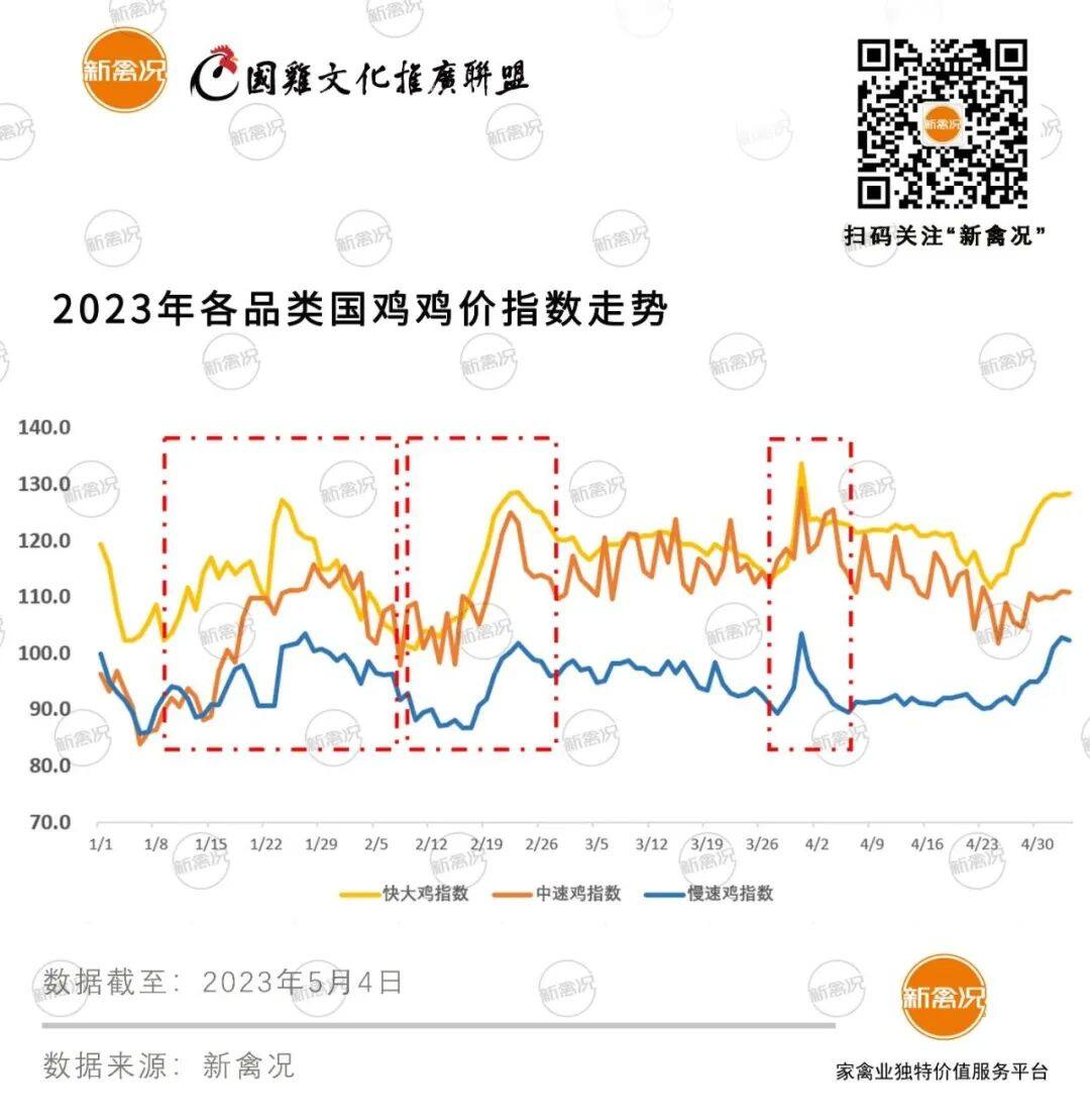 鸡价破10！旅游热+长假期，二季度国鸡行情能否就此“引爆”？【建明中国特约 | 数说禽事】